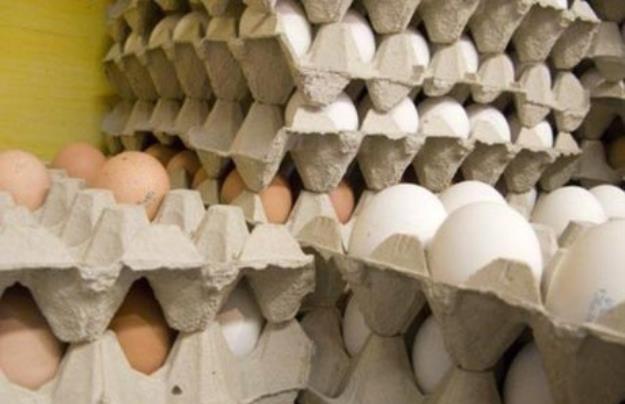 جلوی قاچاق تخم مرغ گرفته شود/ خطر حذف تخم مرغ از سبد خانوار