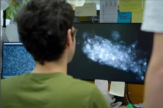  کلید خاموش کردن سرطان کشف شد