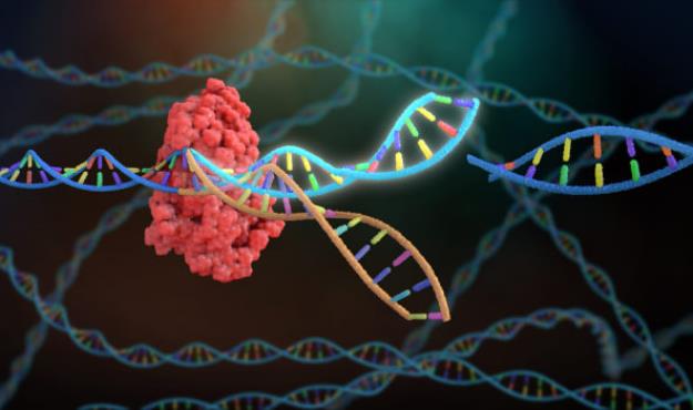  ۱۰ کشف بزرگ علمی که جهان را برای همیشه تغییر داد