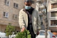 کاشت درخت سرو در روز درختکاری توسط دکتر احمدی‌نژاد در میدان ۷۲ نارمک تهران
