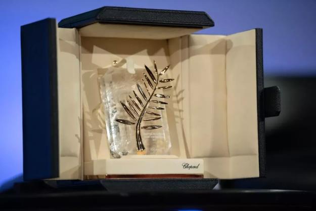 نخل طلای ۲۰۲۵ در دستان سینمای ایران