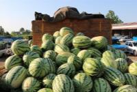 ممنوعیت ناگهانی واردات ۴۵ محصول کشاورزی به عراق و اقلیم