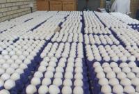 تخممرغ داریم، ارز نداریم/ ذرت و سویا پشت درهای گمرک ماندهاند!