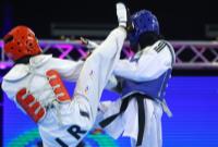 سرپرست فدراسیون تکواندو منصوب شد/ پایان دوره هادی ساعی