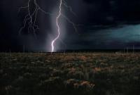  برترین آثار هنری که ۲۰۲۵ به نمایش درآمدند