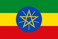  اتیوپی اریتره را به تجاوز و اشغال در خاک خود متهم کرد