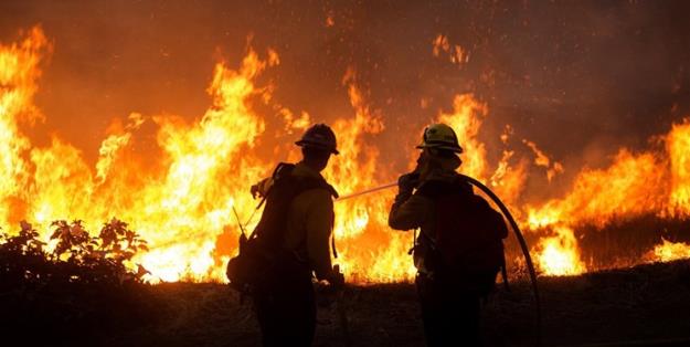 20 هزار هکتار از جنگل‌های کالیفرنیا سوختند