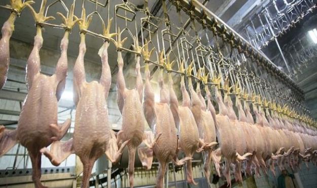 نابسامانی‌ها در بازار مرغ اوج گرفت
