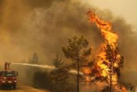  اردوغان در مناطق آتش‌سوزی «وضعیت فاجعه» اعلام کرد 
