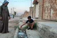 گزارشی از فاضلابهای کودککش اهواز