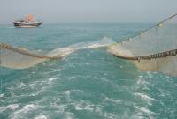 توقیف ۶ شناور در مناطق دریایی خوزستان به خاطر صید ترال 