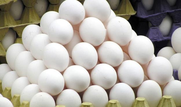 قیمت تخم مرغ ۶ برابر می‌شود!؟