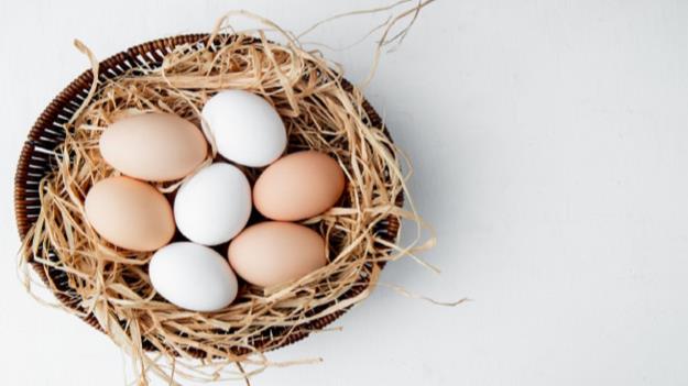  زیان ۵ هزار تومانی مرغداران در فروش تخم مرغ