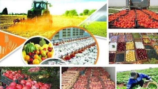  متوسط قیمت محصولات کشاورزی اعلام شد