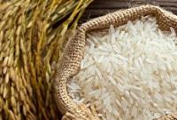  آمار دقیقی از واردات برنج نداریم