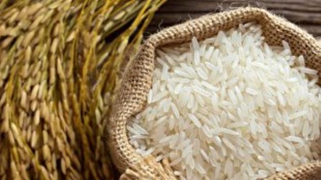 آمار دقیقی از واردات برنج نداریم