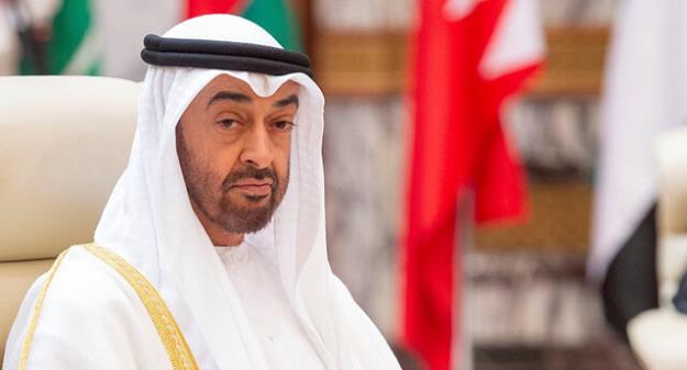  حاکم دوبی با برادر رئیس سابق امارات بیعت کرد