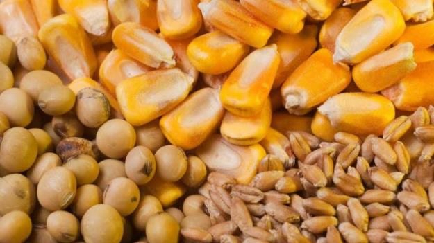  جزئیات سهمیه بندی جدید نهاده های دام و طیور