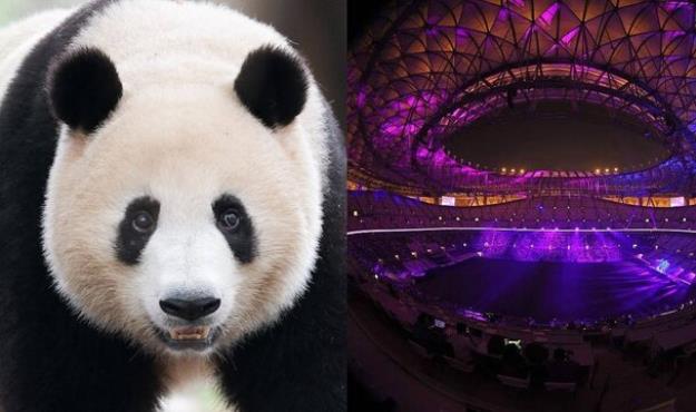  هدیه جالب چین به قطر برای جام‌جهانی ۲۰۲۲