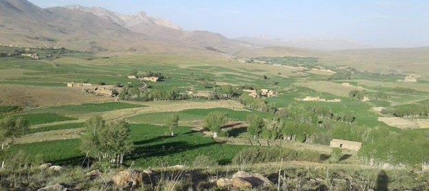 تداوم فشار طالبان بر شیعیان هزاره در افغانستان