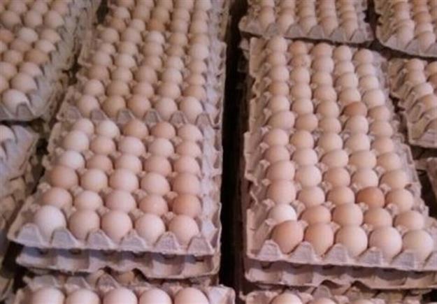  قیمت تخم مرغ دوباره رکورد زد/ هرشانه ۳۳ هزار تومان 