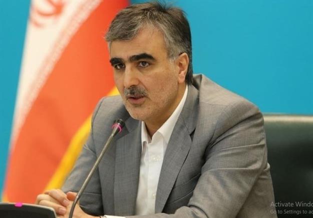 فرزین: تئوری دولت برای مهار تورم تثبیت اقتصادی است
