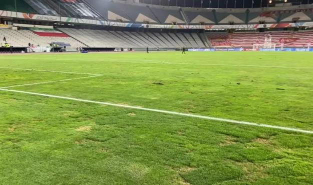 چمن آزادی قارچ زده است