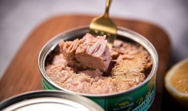 تن ماهی هم از سفره مردم حذف شد/ تعطیلی برخی کارخانهها و برندهای تولید تن ماهی