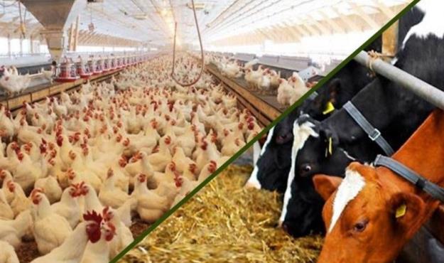 هزینه انبارداری در گمرکات ۴ برابر شد!