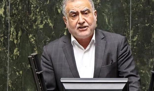 دکتر علیرضابیگی: دولتی که پشتوانه ضعیفی دارد نمی تواند دست به جراحی اقتصادی بزند