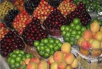  قیمت عمده فروشی انواع میوه در تهران اعلام شد+ جدول 