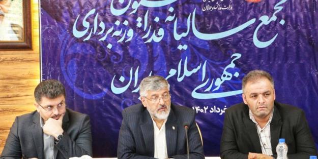 انوشیروانی: بودجه‌مان نصف کشتی هم نیست