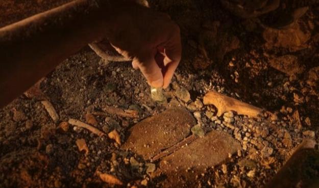  کشف شگفت‌انگیز درباره پادشاه فراموش‌شده