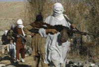 القاعده در افغانستان 8 اردوگاه آموزشی ایجاد کرده است