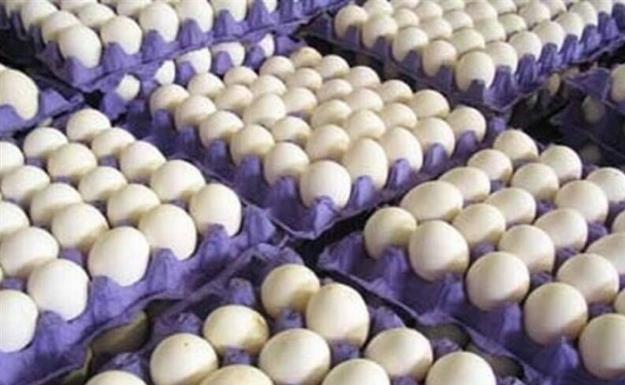 فروش هر کیلو تخم مرغ بیش از ۱۱ هزار تومان گرانفروشی است