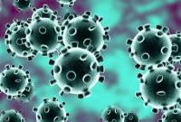 محققان انگلیسی ۶ نوع کووید-۱۹ شناسایی کردند