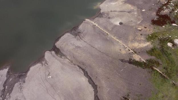  چگونه تغییرات آب‌وهوایی به افزایش جهانی بیماری‌ها دامن می‌زند؟